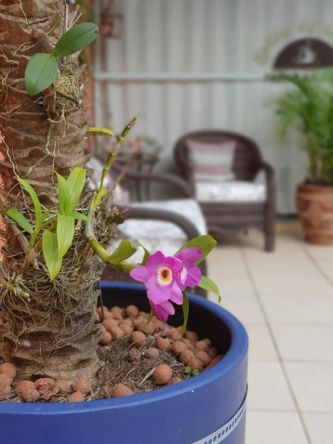 Pousada Do Atoba Florianópolis المظهر الخارجي الصورة